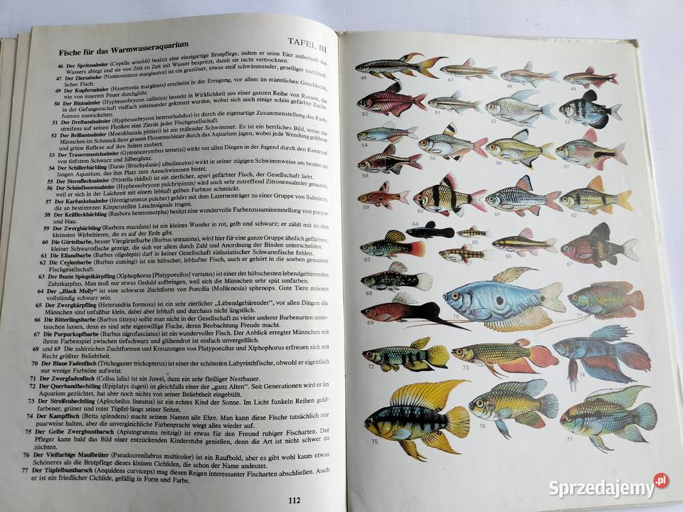Akwarystyka Aquarienpraxis kurz gefabt Hans Frey biologia, ekologia Gdynia