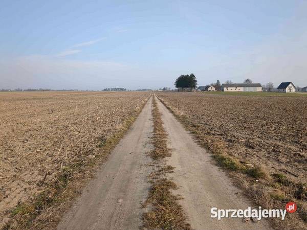 Nieruchomość gruntowa zabudowana syndyka Gutków