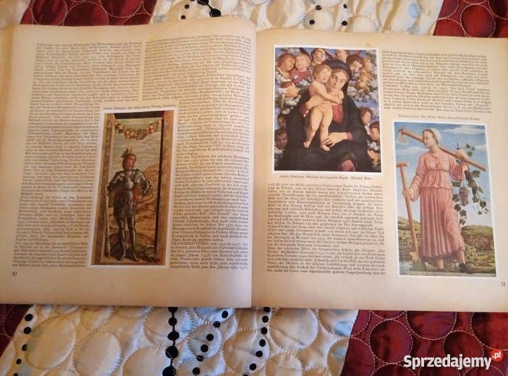 książki Die Malerei Der Renaissance Die Malerei Poradniki, albumy i reportaże Prabuty