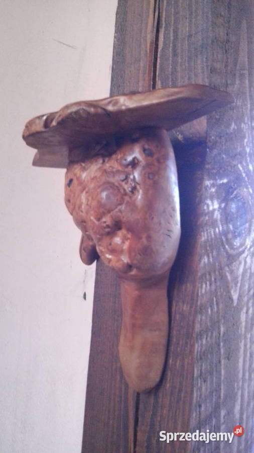 Półka z korzenia ręcznie robiona mazowieckie Warszawa sprzedam