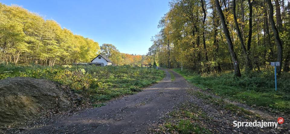 DZIAŁKA BUDOWLANA 1622 m MPZP MEDIA LESIE NOWY Nowy Świat