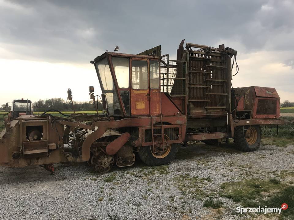 Kombajn buraczany stoll 6 rządkowy Krężnica Jara