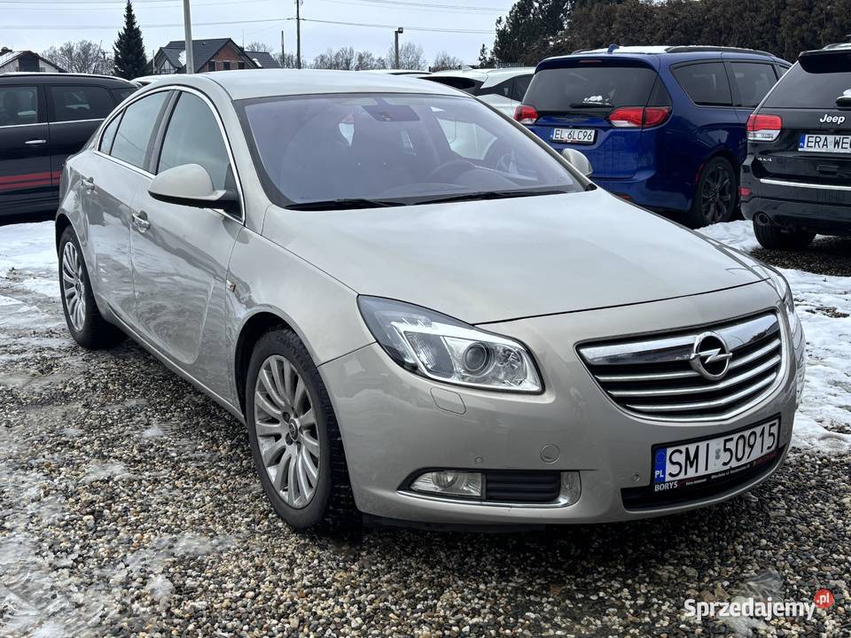 Opel Insignia Paniówki