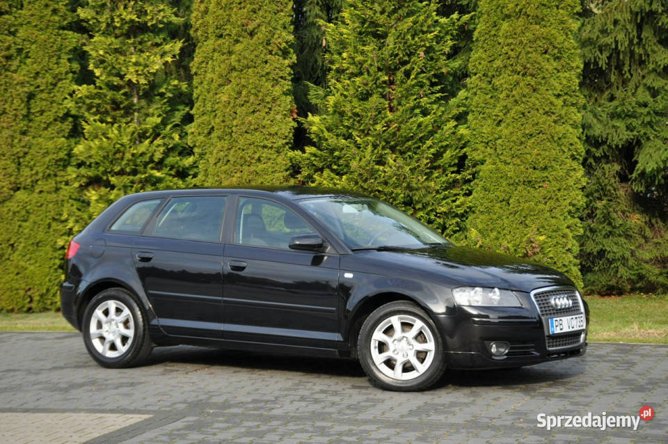 Audi A3 19TDI105CzarnaKlimatronikGrzane Ostrów Mazowiecka