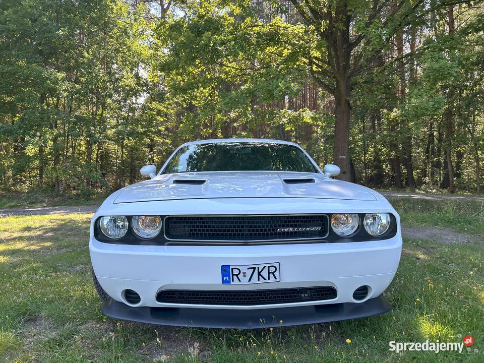 Dodge Challenger 36 l 308 Challenger podkarpackie Przewrotne sprzedam