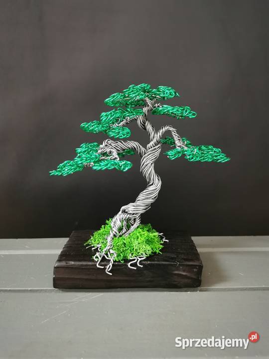 Zielone drzewko z chrobotkiem 13 Bolesławiec