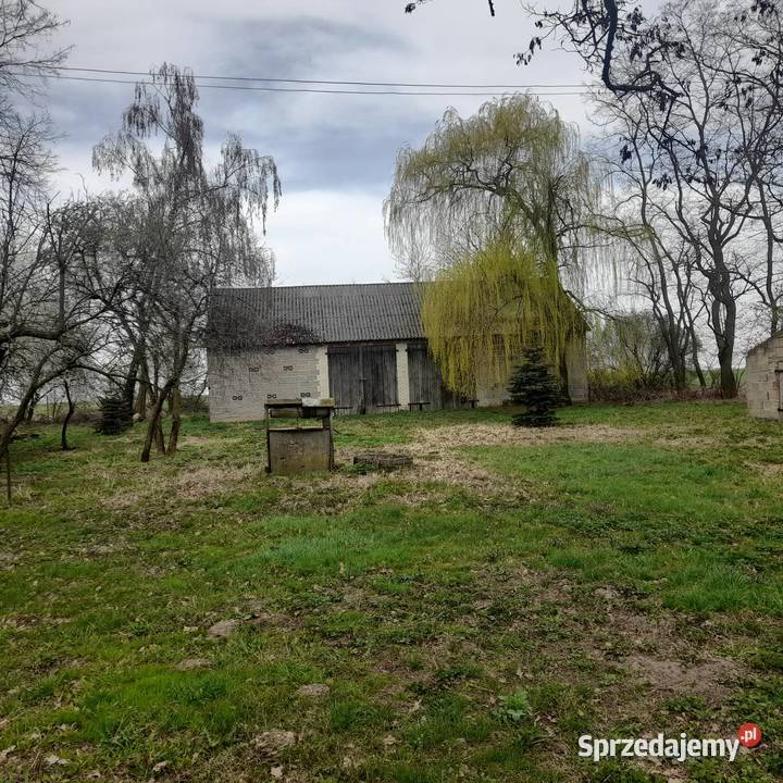 Sprzedam siedlisko siedliskowa Mała Wieś