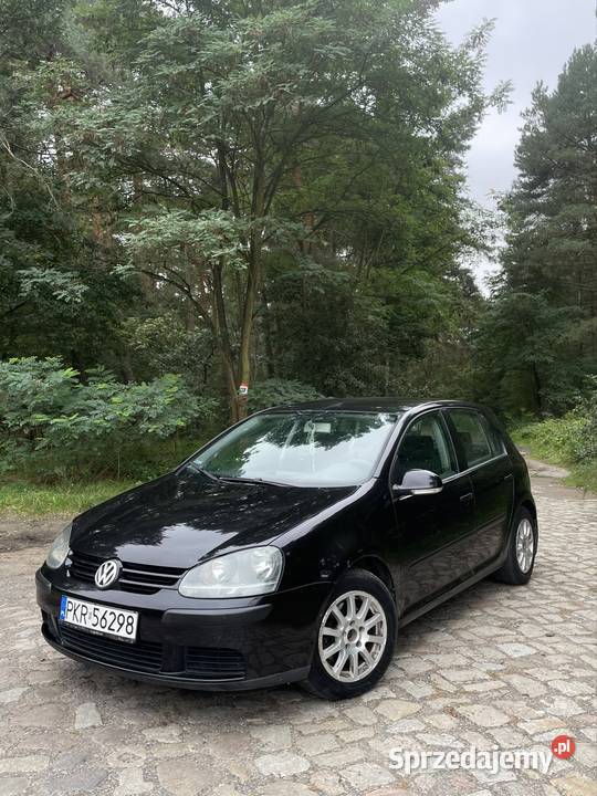 Golf 5 16 benzyna 2005 lakier metallic Poznań