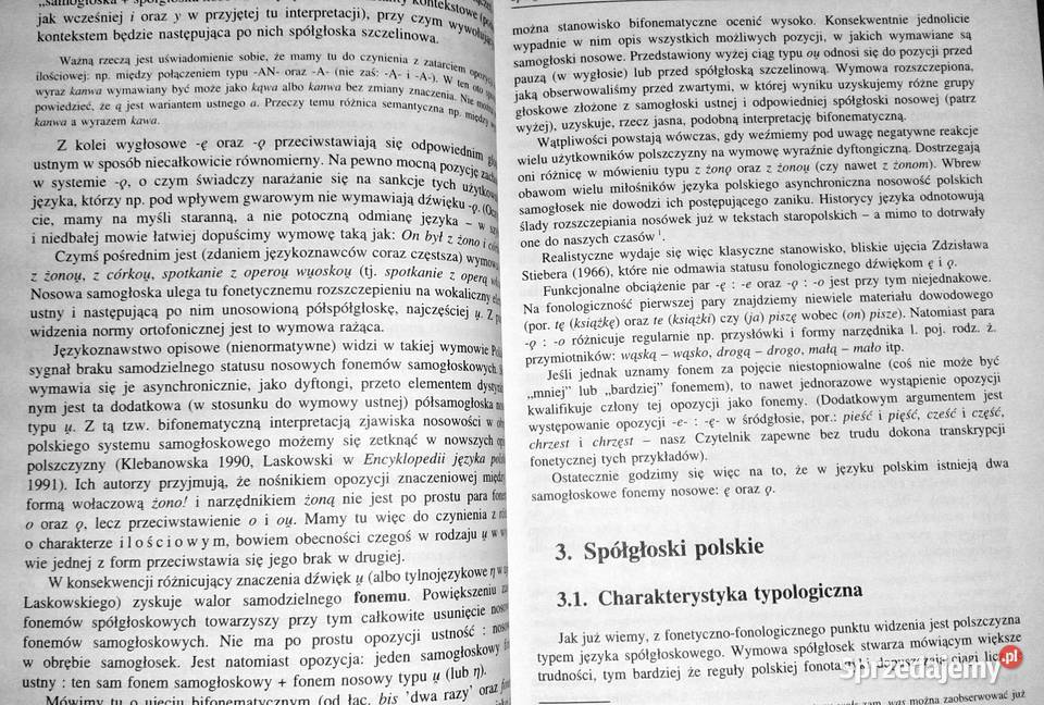 Zarys gramatyki polskiej Alicja Nagórko Chełm