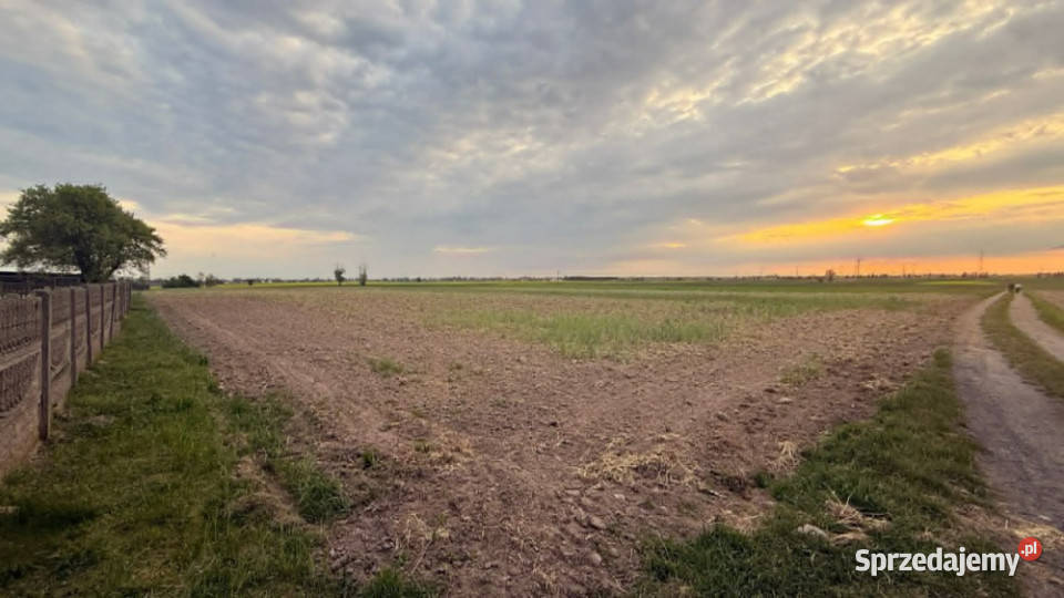 Działki budowlane na sprzedaż Kotunia gm Słupca sprzedam