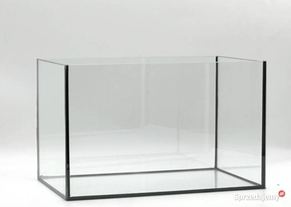 Akwarium 100x50x50 250 l Producent Transglass śląskie sprzedam