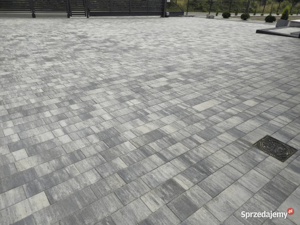 Płyta betonowa Tresso gr 6 i 8