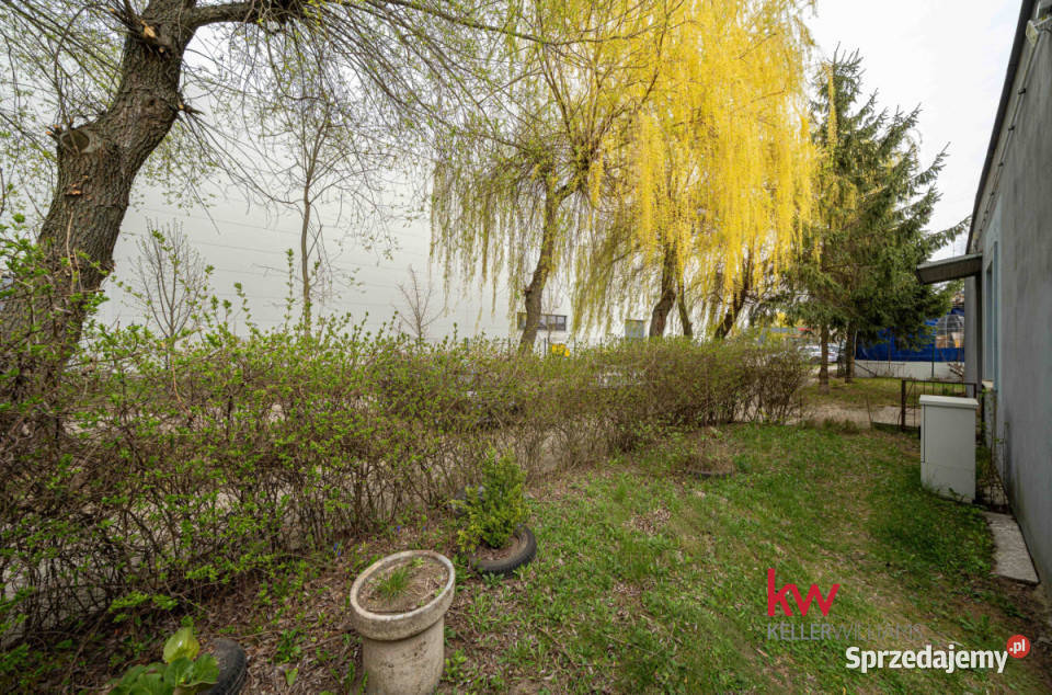 Mieszkanie 5319m2 5 pokojowe Poznań Szarych spółdzielcze własnościowe wielkopolskie