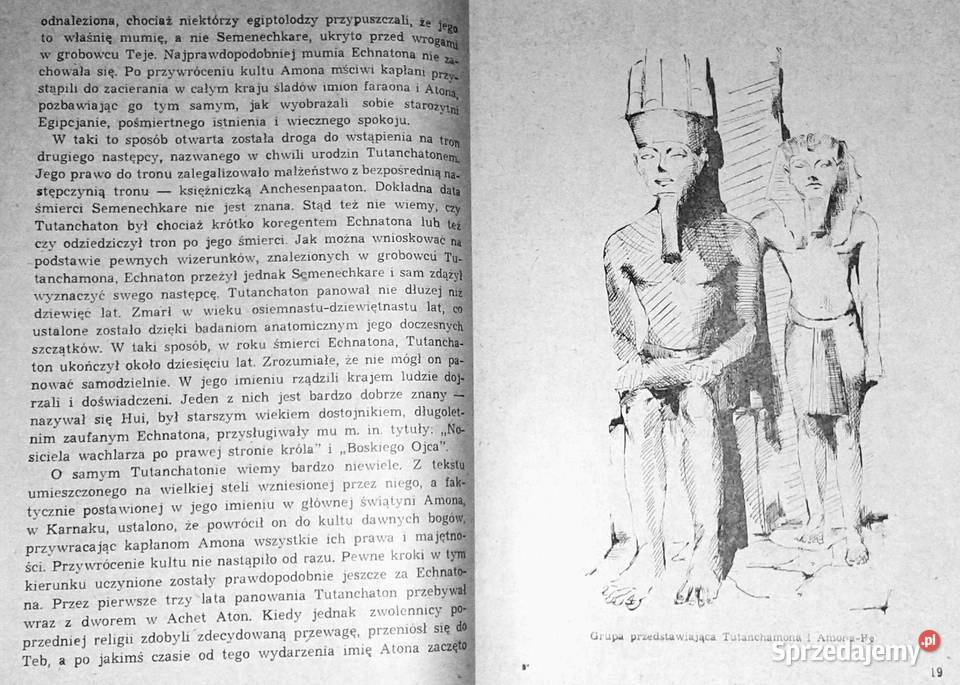 Tutanchamon i skarby jego grobowca Izydor Chełm
