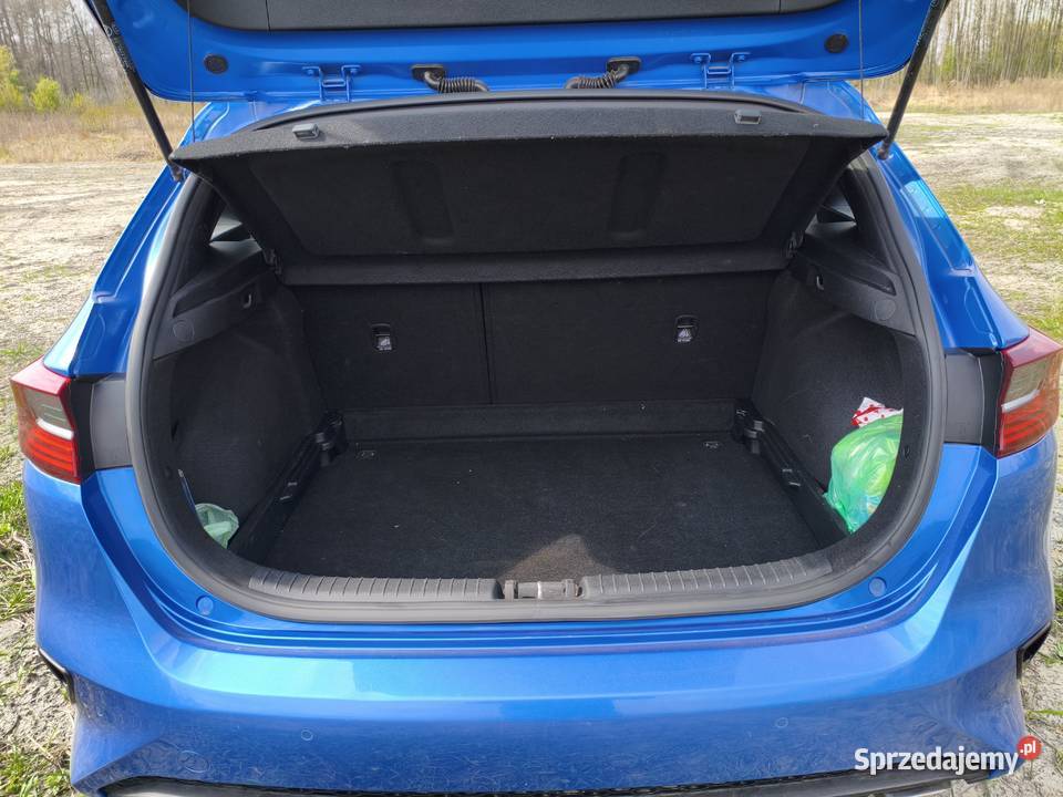 Kia Ceed 16 2020r 1 właściciel FV 23 Międzyborów