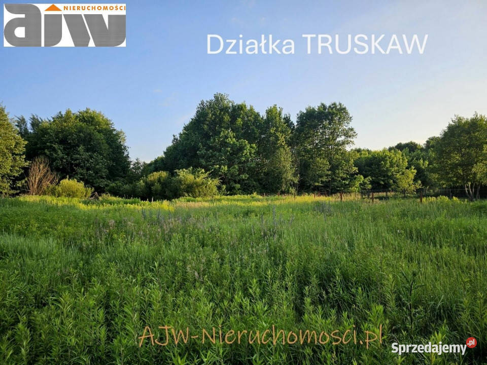 Ogłoszenie grunt 1940m2 Truskaw budowlana