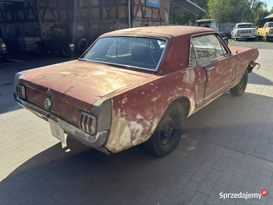 Ford Mustang Ford Mustang Coupe 094 1965 UCode lubuskie sprzedam
