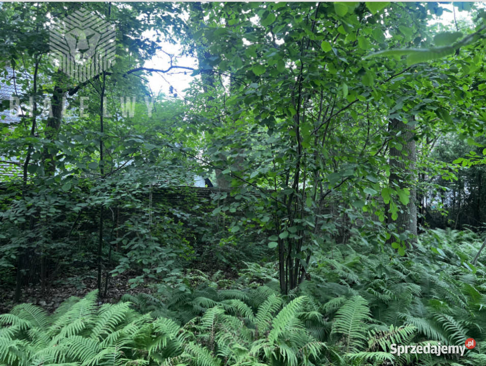 Dom wolnostojący 100m2 Magdalenka 12000zł/m2