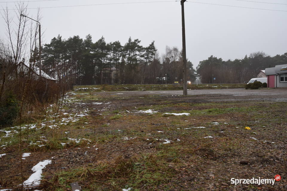 Syndyk sprzeda nieruchomość gruntową zabudowaną mazowieckie Sochaczew