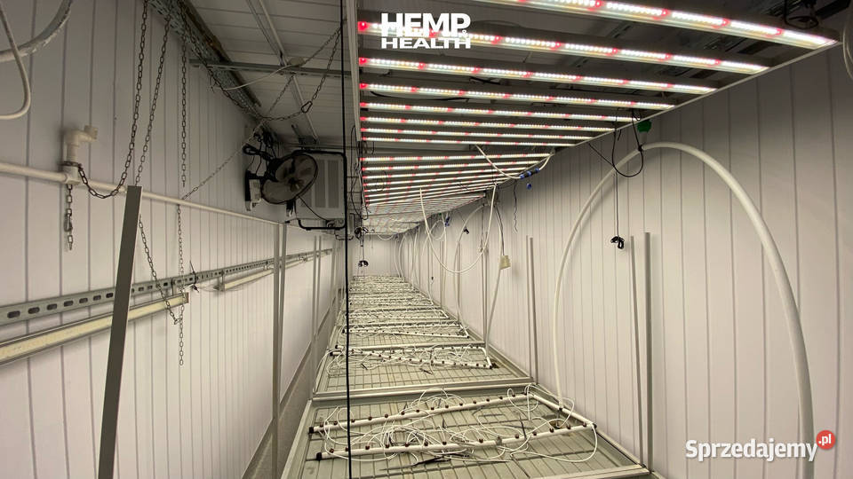 Farma kontenerowa do uprawy roślin zielarskich i Radom