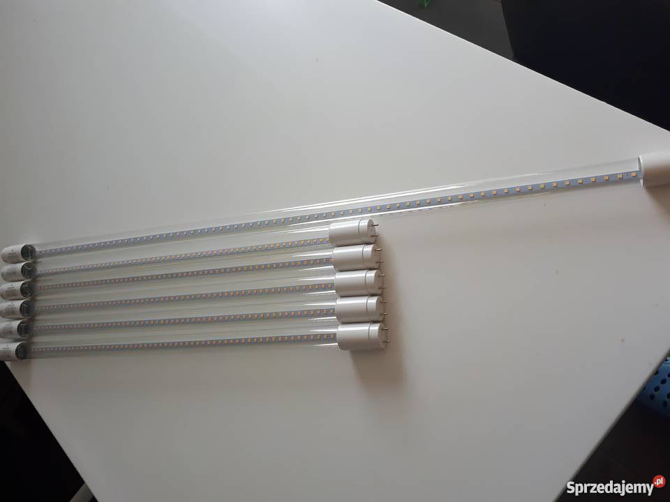 Świetlówka LED żarówka LED 6090 Novodworski