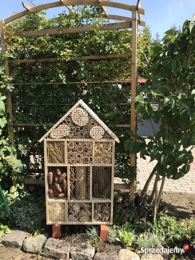 Domek owadów OGROMNY Sławno