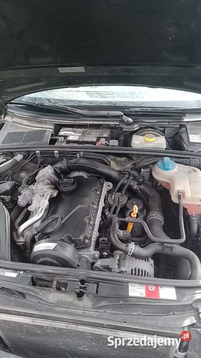 Audi a4 b6 Płonki sprzedam
