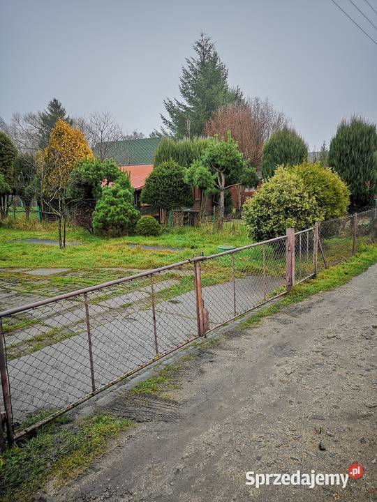 Działka ROD Wisełka 2 Gdańsk Nieruchomości