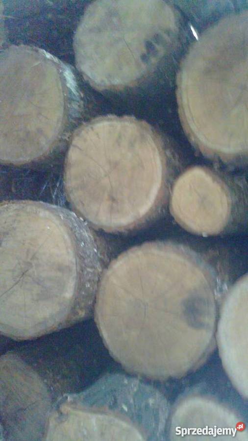 Drewno opałowe Pozostałe Mińsk Mazowiecki