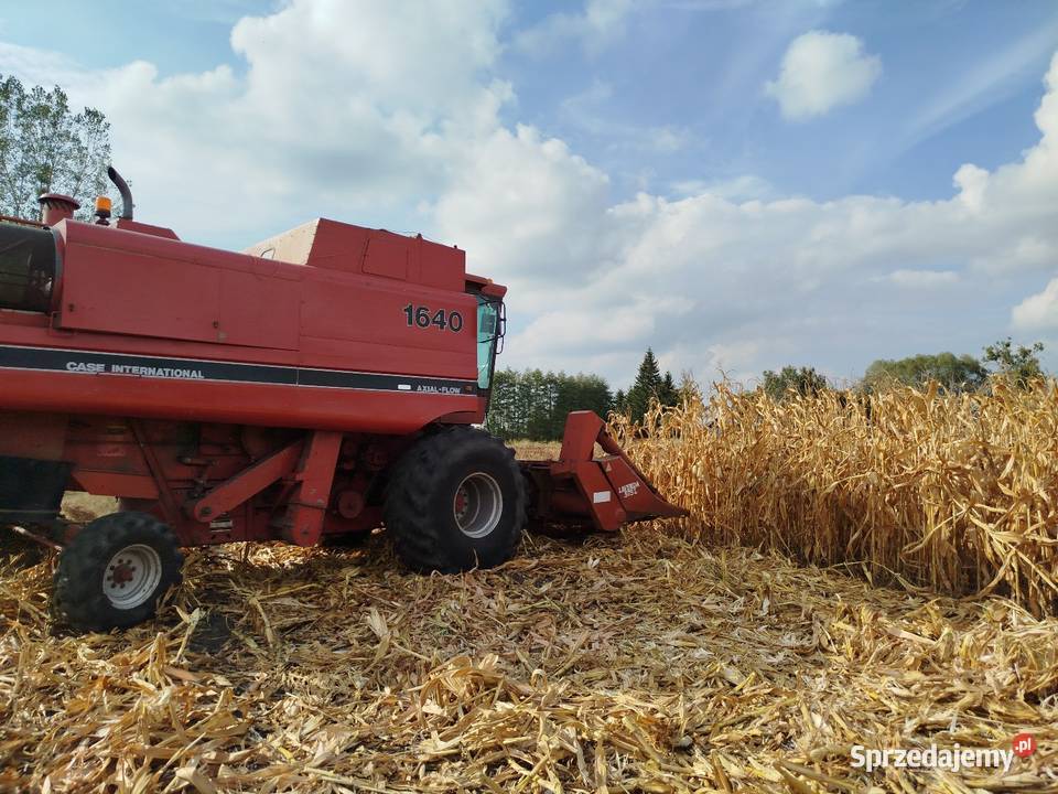 Kombajn zbożowy Case 1640 International 43 heder Rejowiec Fabryczny