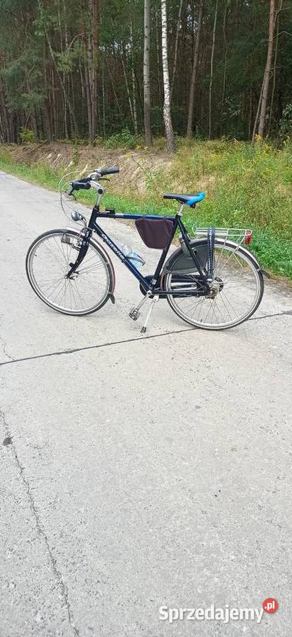 Rower Gazelle Davos
