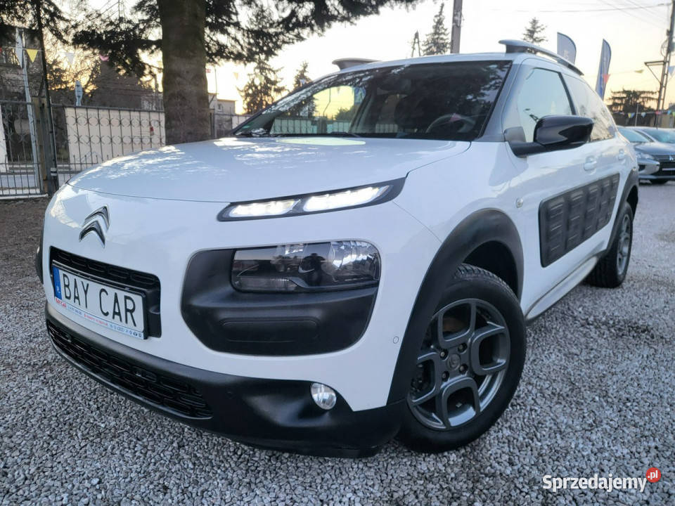 Citroen C4 Cactus 16 100 100 Oryginał 100 Pabianice