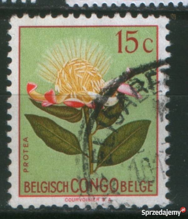 Zn Belgia Kongo Mi 296 kas Gliwice