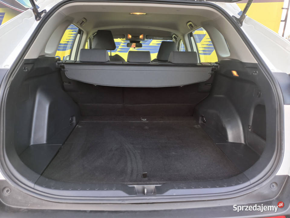 202019 salon I właściciel 23 VAT 229000km podkarpackie Rzeszów
