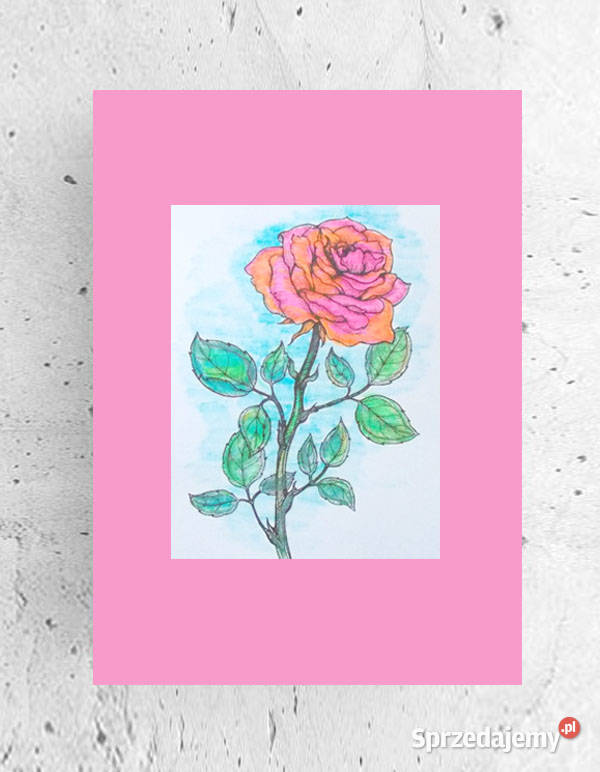 różowy plakat 30x40 retro plakat z różą róża Opole