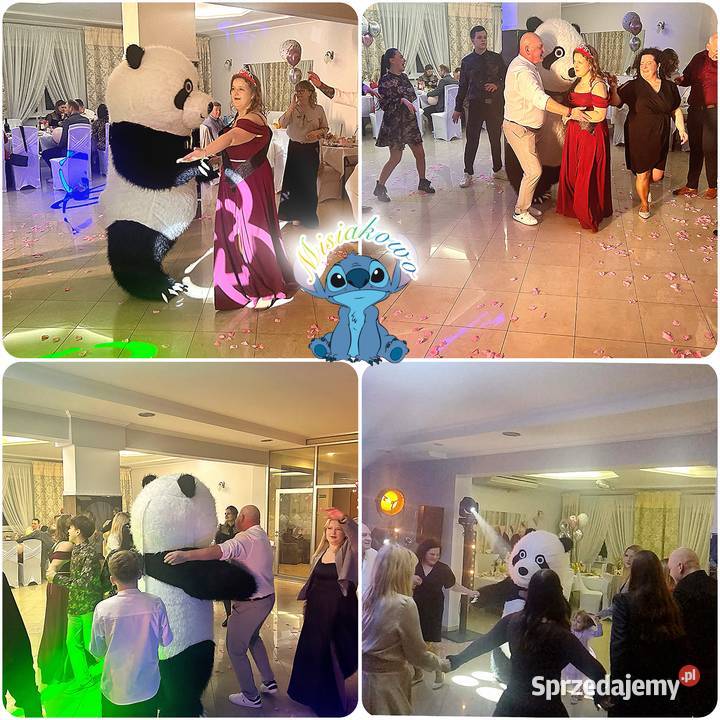 MisiakowoMaskotka na Twoją Imprezę