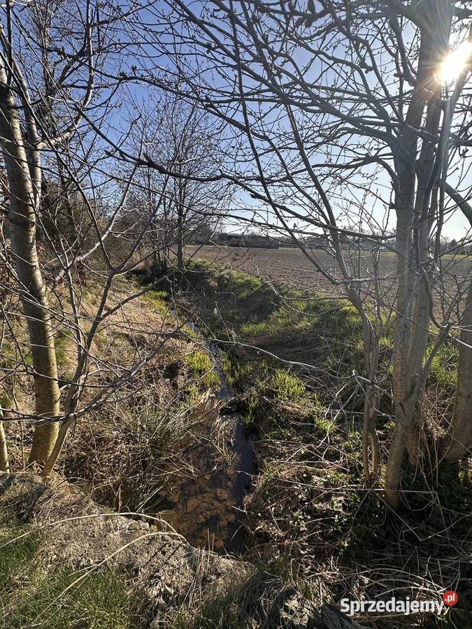 Działka strumyku Chmielno