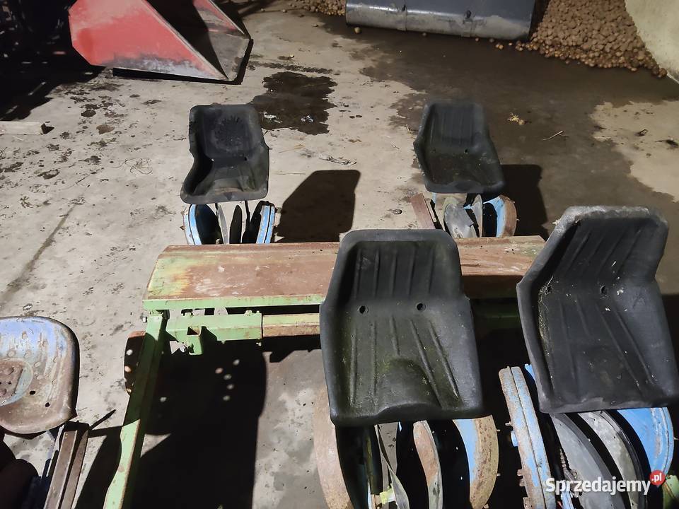 Sadzarka wielkopolskie Gołuchów