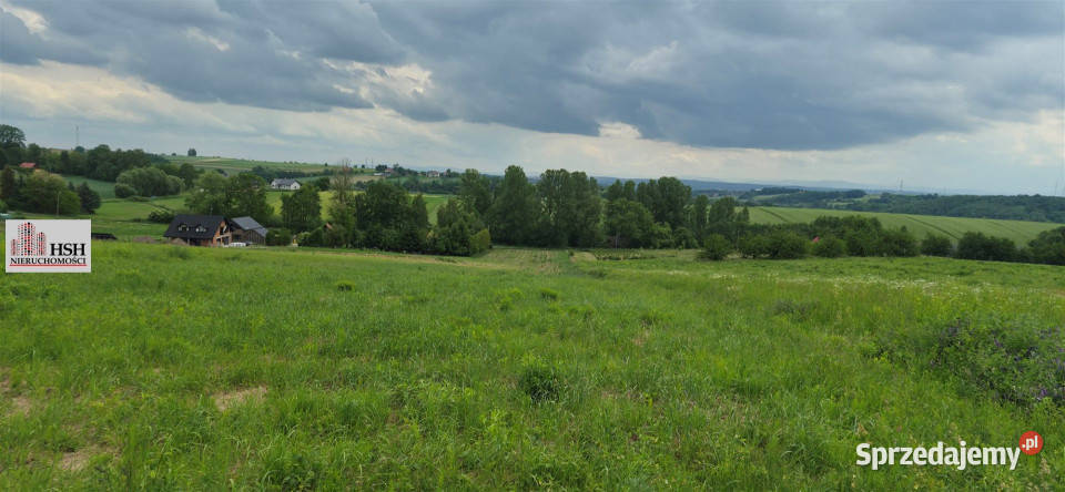Grunt Michałowice 2450m2 220zł/m2