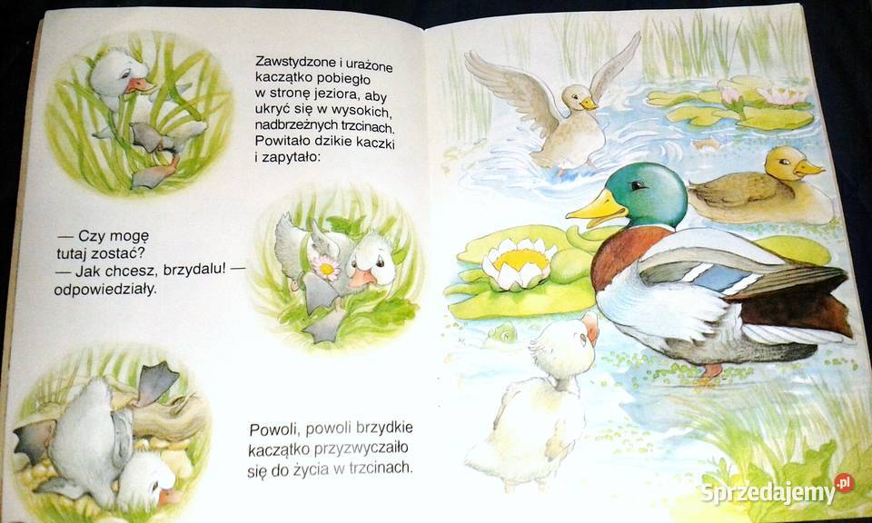 Brzydkie kaczatko Bajki na dobranoc Agnes lubelskie Chełm