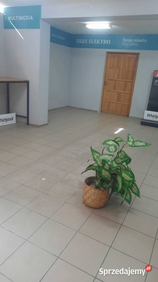 do wydzierżawienia lokale użytkowe 46m2 Szczecinek