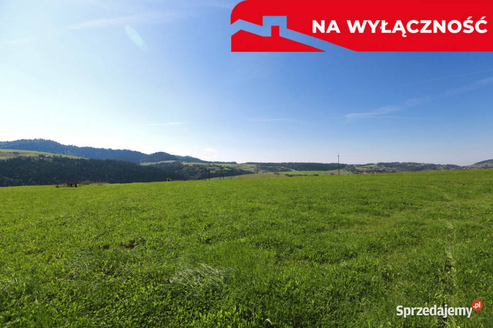 Działa w Grywałdzie z możliwością uzyskania WZ małopolskie Grywałd