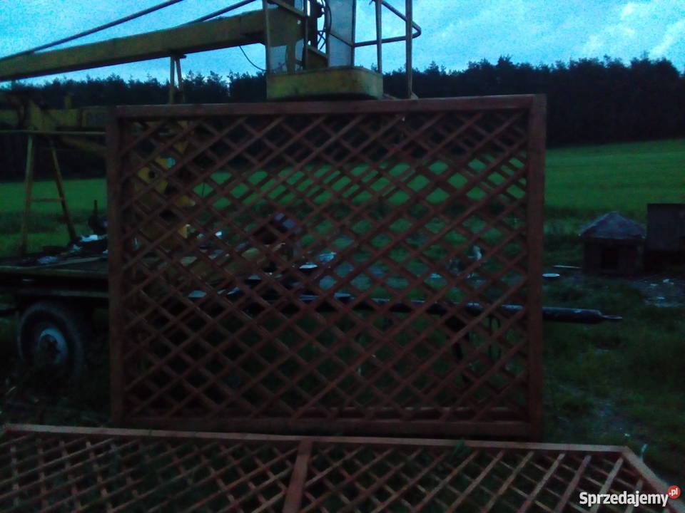 Pergola drewniana winogron pawilon świętokrzyskie Jędrzejów