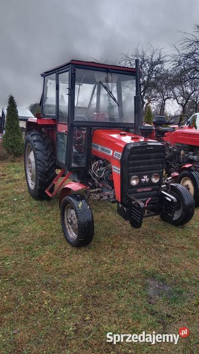 Massey Ferguson MF 255 Zarejestrowany 1988r Ryczywół sprzedam