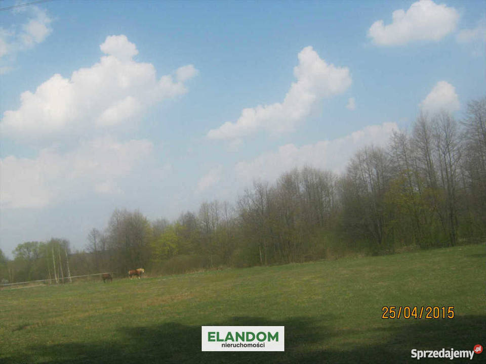 Sprzedam działkę rolną 24600m2 Władzin Grunty i działki