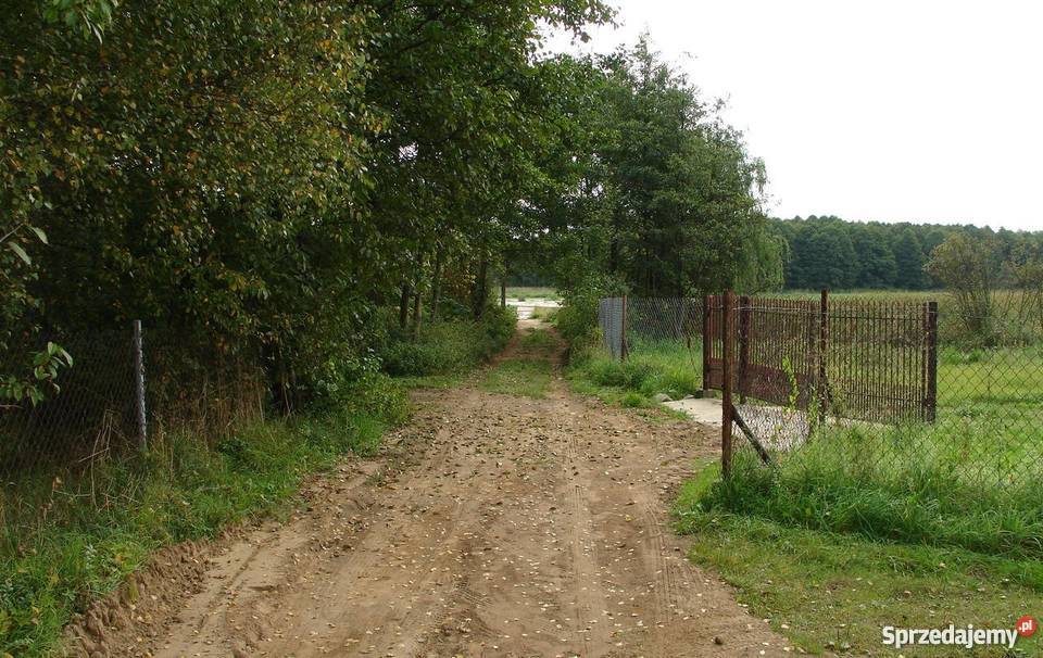 Działka Narwią rekreacyjno budowlana wędkarzy 1372m2 Pogorzelec sprzedam