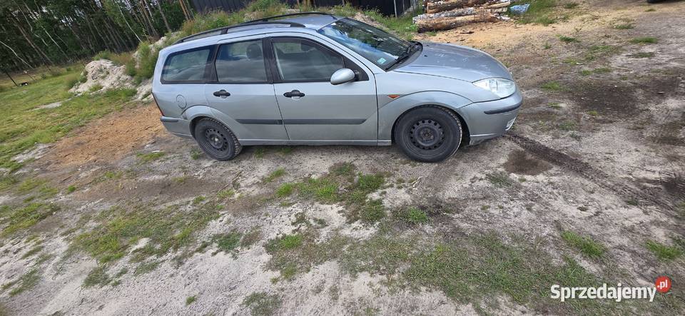Syndyk sprzeda Ford Focus 2002 r