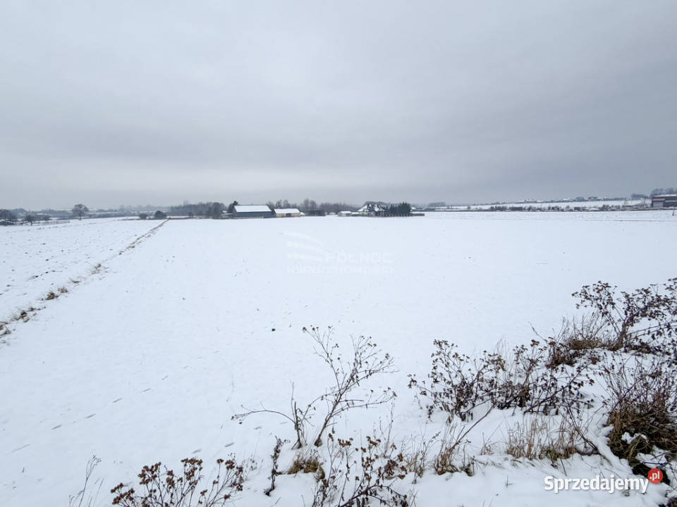 Dwie działki budowlane zalewie Zółtańce budowlana Żółtańce