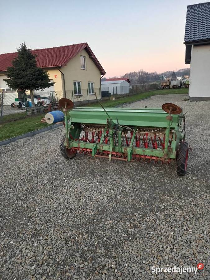 Siewnik hassia du nieuszkodzony podkarpackie Pilzno