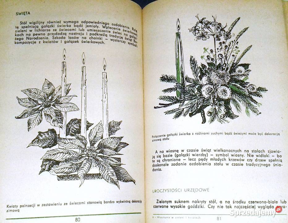 Mieszkanie w zieleni i kwiatach K Muszyński Książki i Podręczniki lubelskie sprzedam
